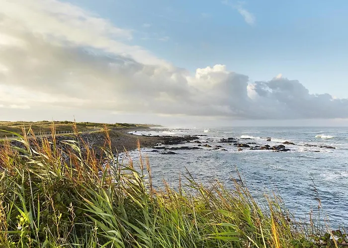 T3 Lumineux, Balcon Sud, Parking, Proche Et Commerces - Fr-1-92-688