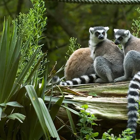 T3 Lumineux, Balcon Sud, Parking, Proche Et Commerces - Fr-1-92-688 דירה *