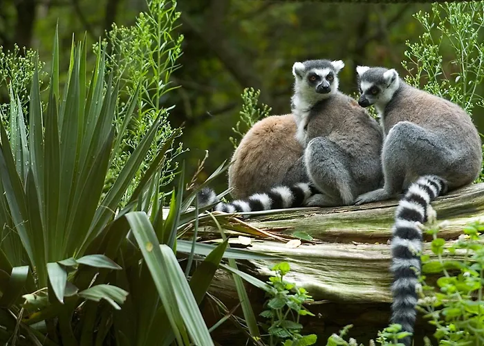 T3 Lumineux, Balcon Sud, Parking, Proche Et Commerces - Fr-1-92-688 דירה *